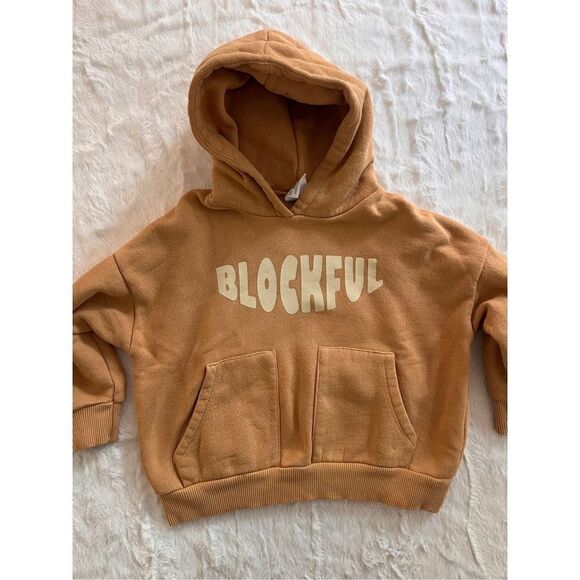 Zara Blockful Hoodie Size 2/3 Years - Picture 2 of 7